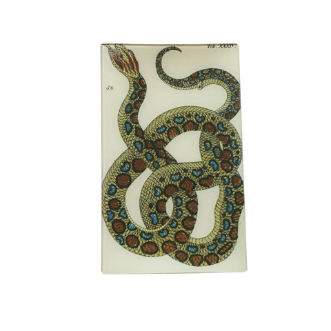 John Derian Snake Tray